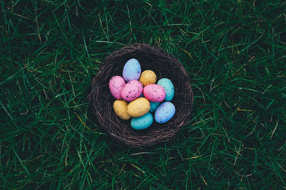 huevos de colores variados, nido, huevos, huevos de pascua, búsqueda de huevos, búsqueda de huevos de pascua, canasta, canasta de pascua, motas, moteado
