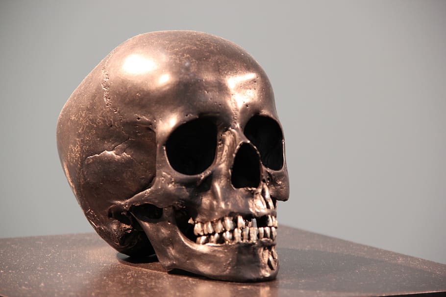 crânio, bronze, cabeça, estátua, metal, bucha, monumento, escultura, rosto, morte