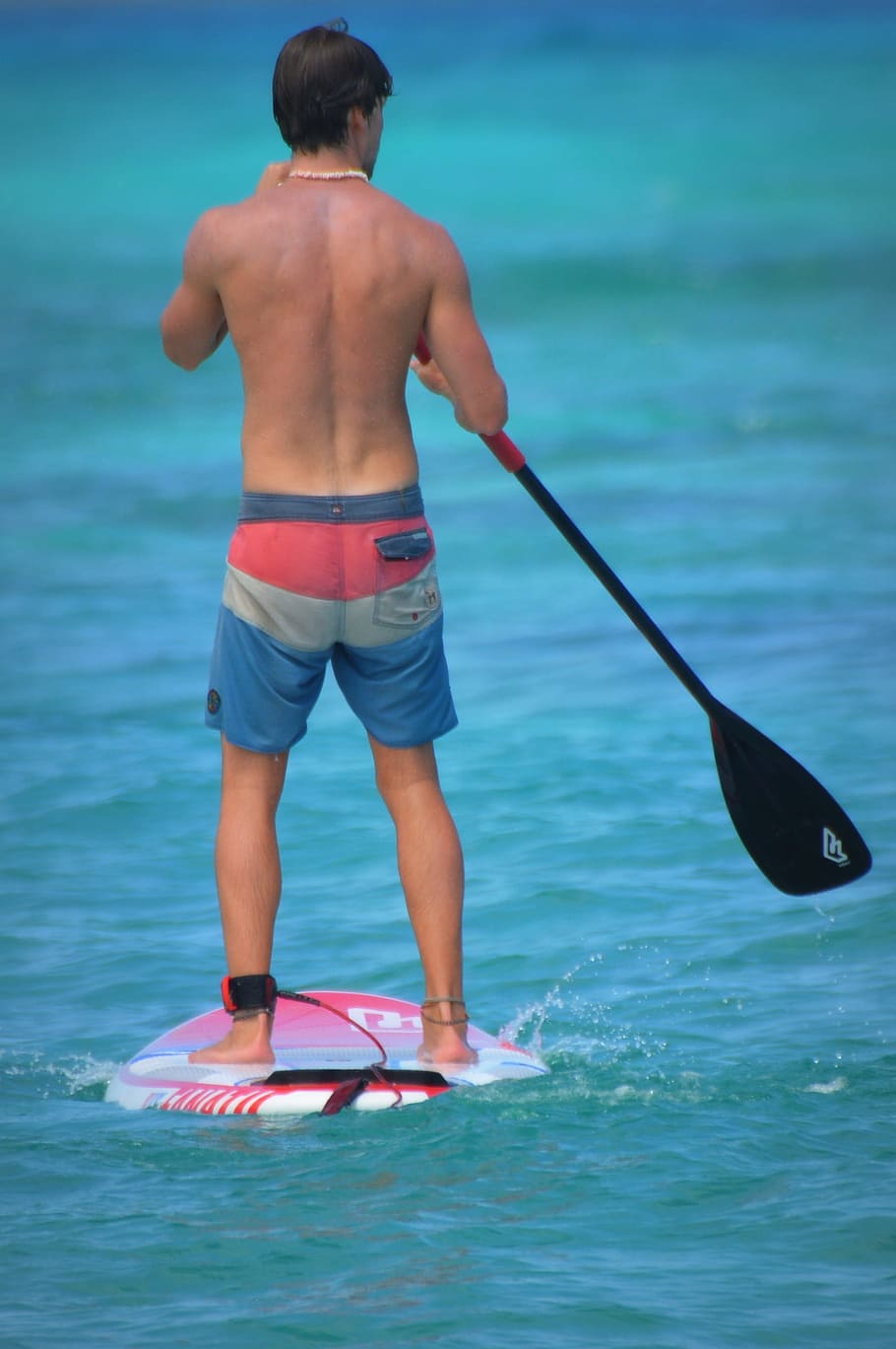 Man, People, Paddle, Sea, Swim Shorts, man, people, surfboard, shirtless, rear view, one person