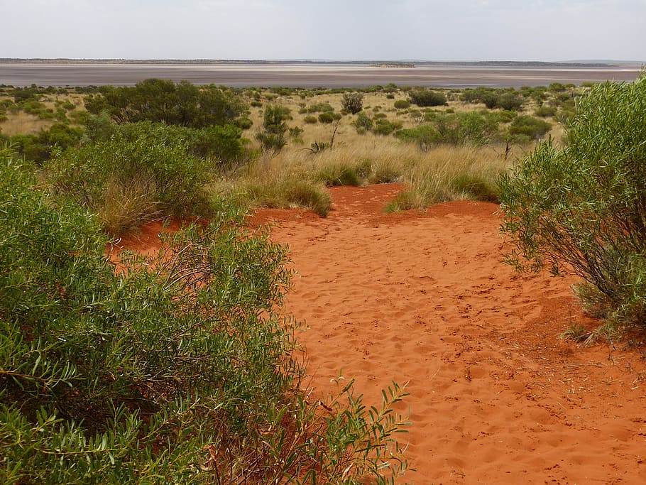 outback, atmosphere, bush, nature, shrubs, red, sand, landscape, australia, salt lake