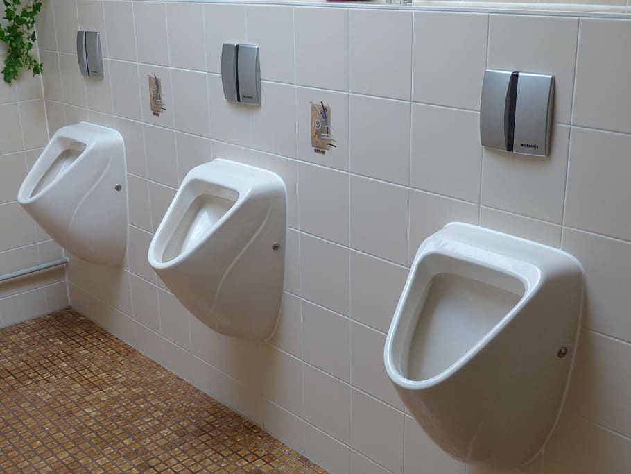 white ceramic urinals, Toilet, Wc, Urinal, Public, public toilet, man toilet, loo, white color, indoors