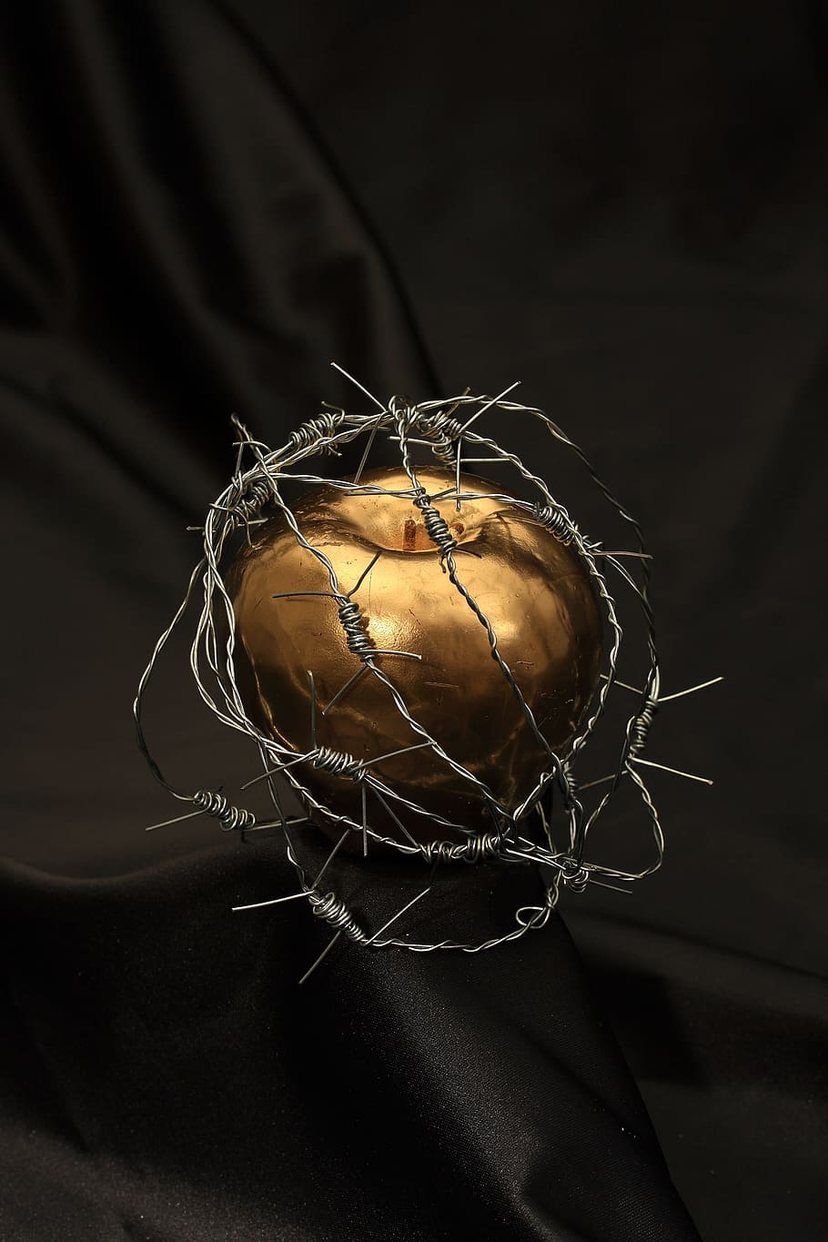 gold apple, covered, barbed, wires table decor, apple, dea, gold, paint, fiction, macro