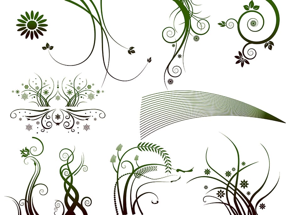 green, white, floral, illustration, art, design, decorative, creative, antique, curve
