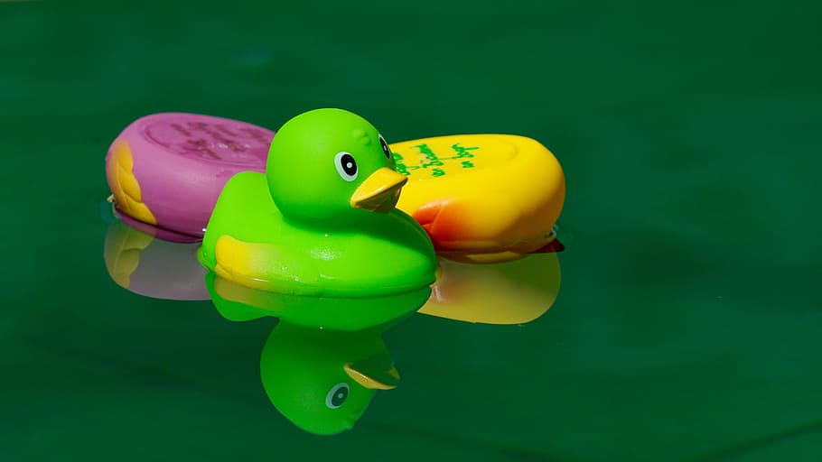 Mainan, mencicit, bebek, air, berenang, mencicit bebek, di dalam air, terbalik, multi-warna, warna hijau