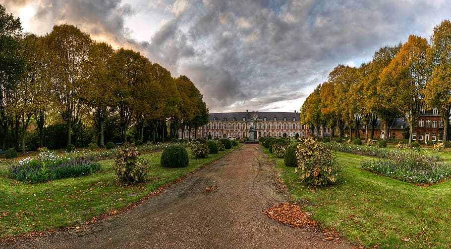 former psychiatric hospital, seclin, garden, nature, landscape, tree, scenics, outdoors, beauty in nature, day