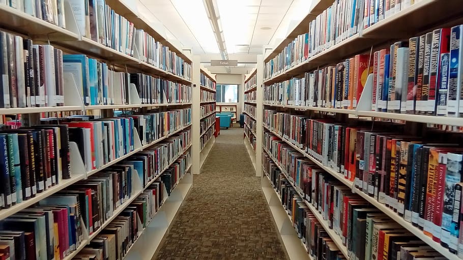 book shelves, library, books, shelves, bookshelf, read, stack, knowledge, library books, learn