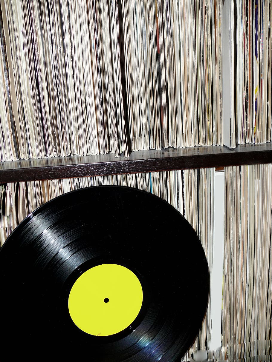 vinyl record, record, analog, listen, concert, volume, music, nostalgia, nostalgic, plate