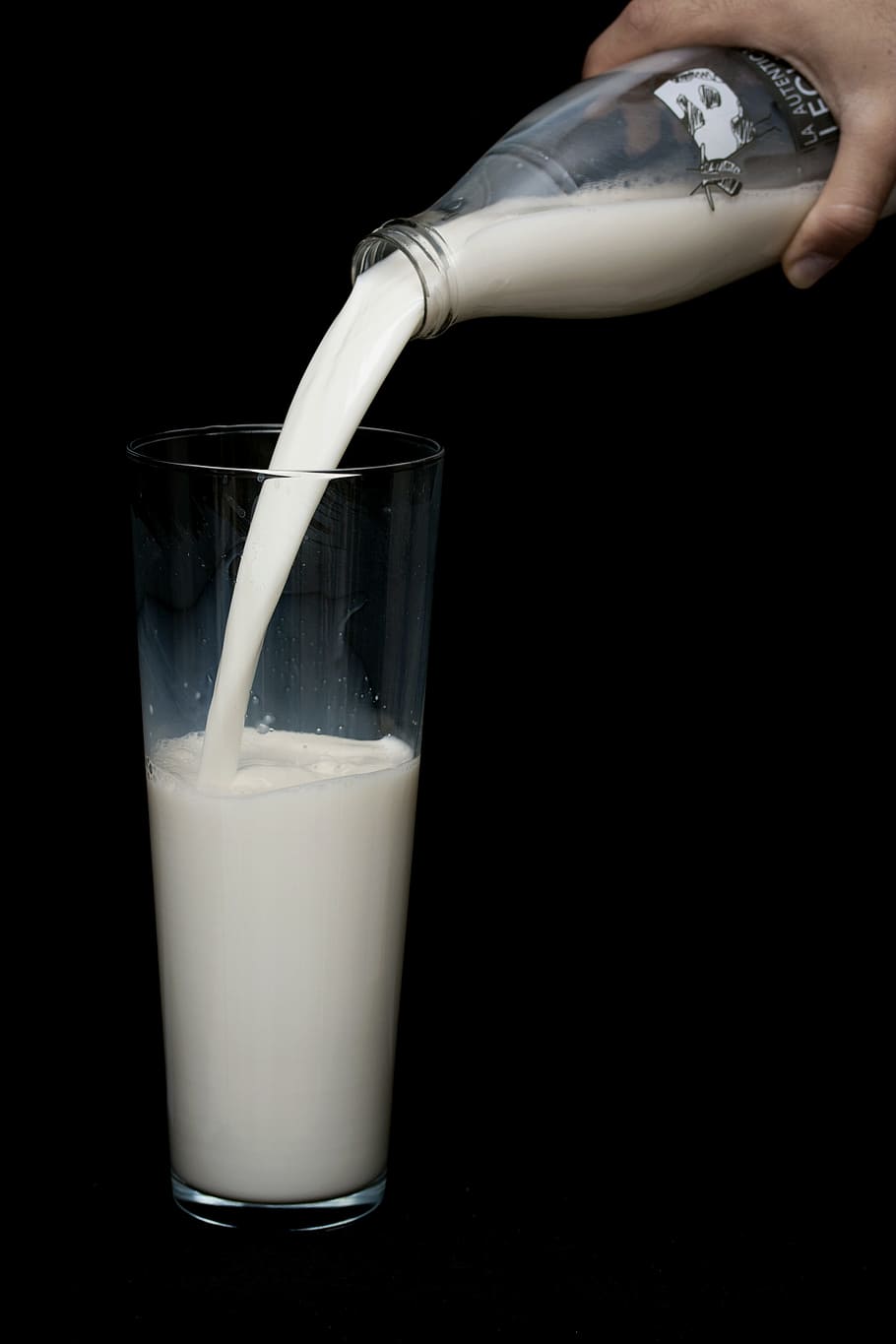 person, pouring, glass, Milk, Health, Growth, White, Nutrition, kitchen, food