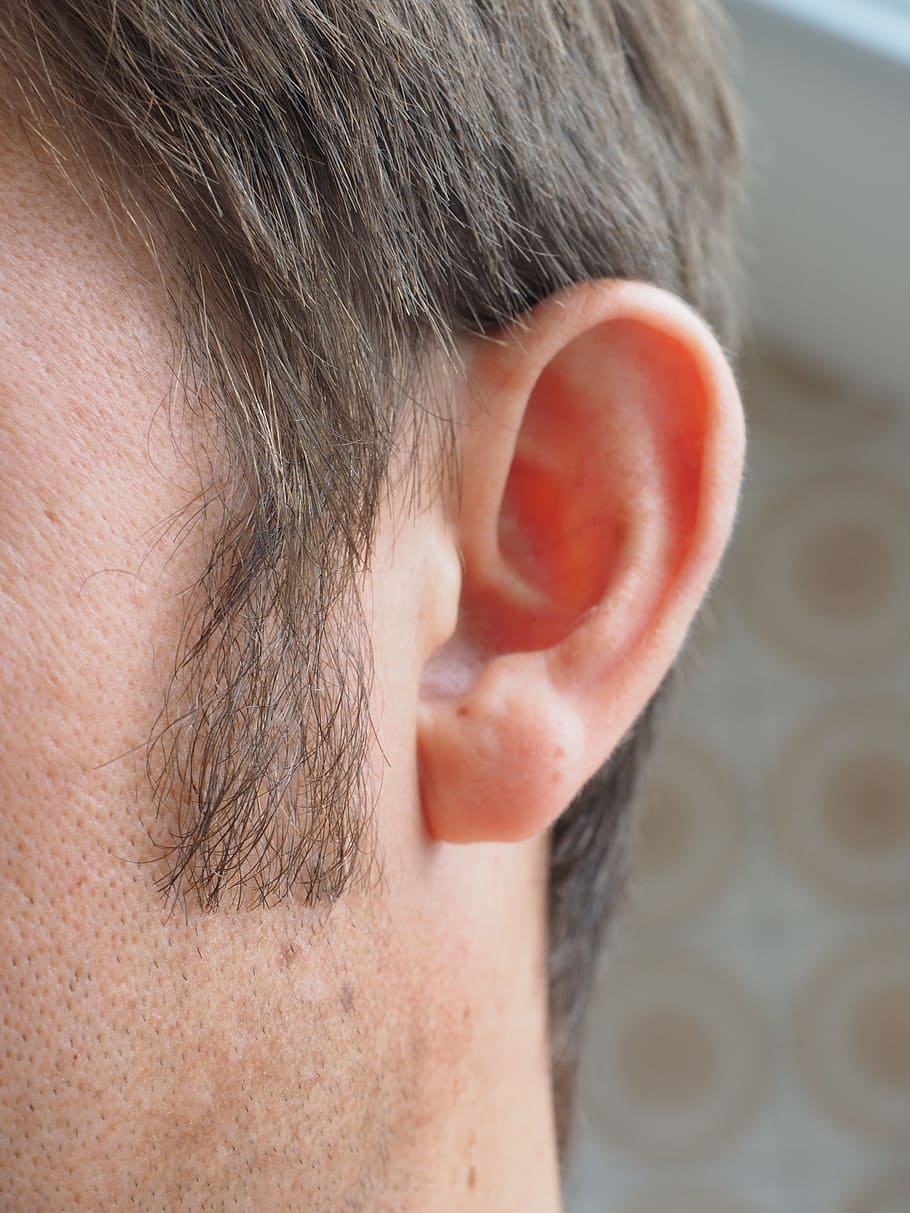 왼쪽 사람의 귀, 귀, 들리다, 사람, 인간의, 감각 기관, 지각, 청각, 인간의 귀, 구레나룻