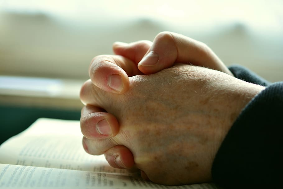 глубина, полевая фотография, человек рука, закрыто, книга, молиться, руки, молящиеся руки, молитва, религия