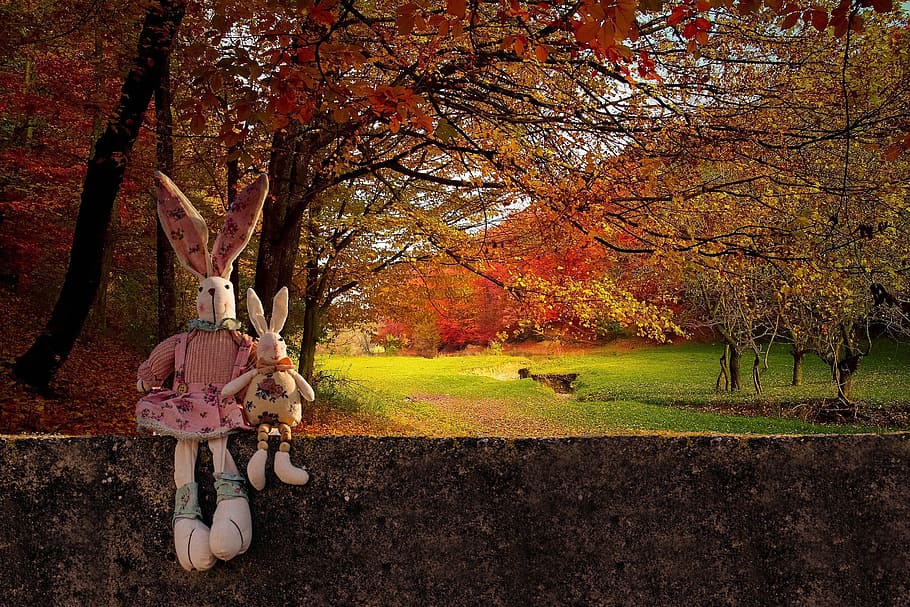 two, white, pink, rabbit, plush, toys, concrete, wall, trees background, rabbits