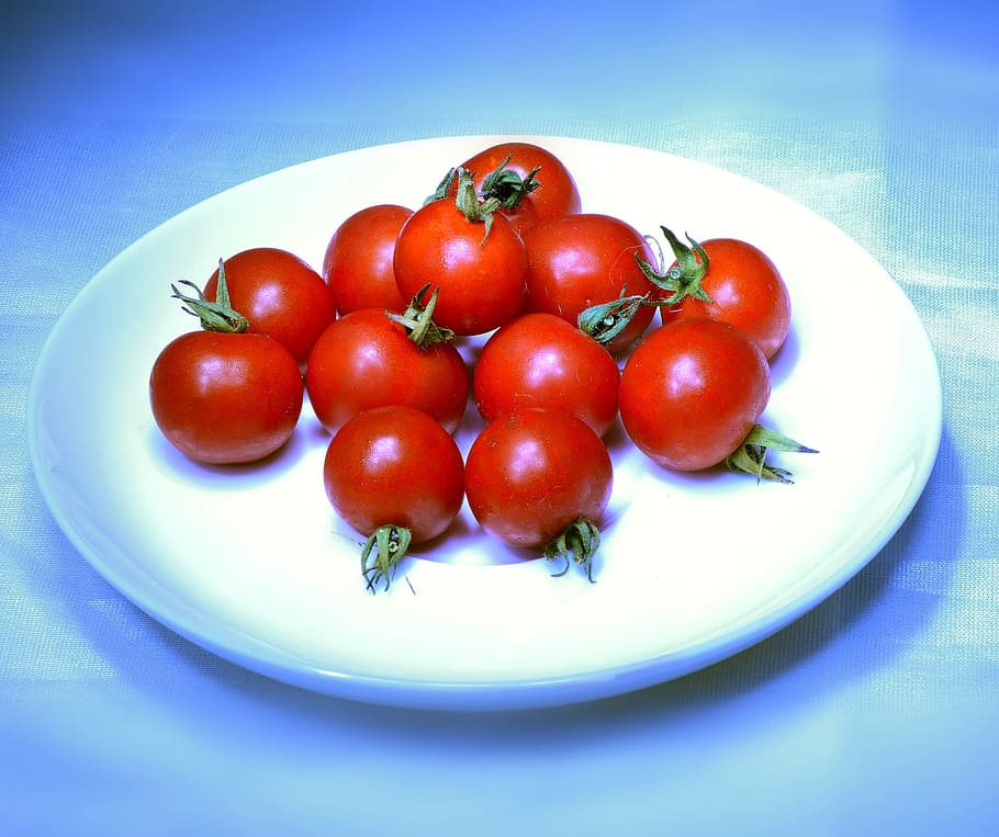 tomate, rojo, plato, alimentari, comida, tomates, verduras, vegetale, azul, mesa