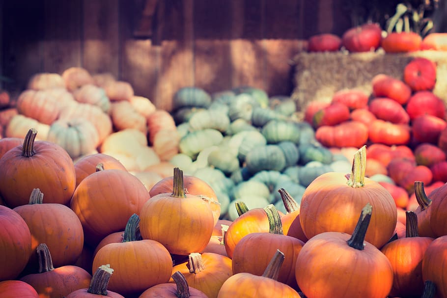 halloween, pumpkins, orange, green, red, colorful, squash, vegetable, harvest, food and drink