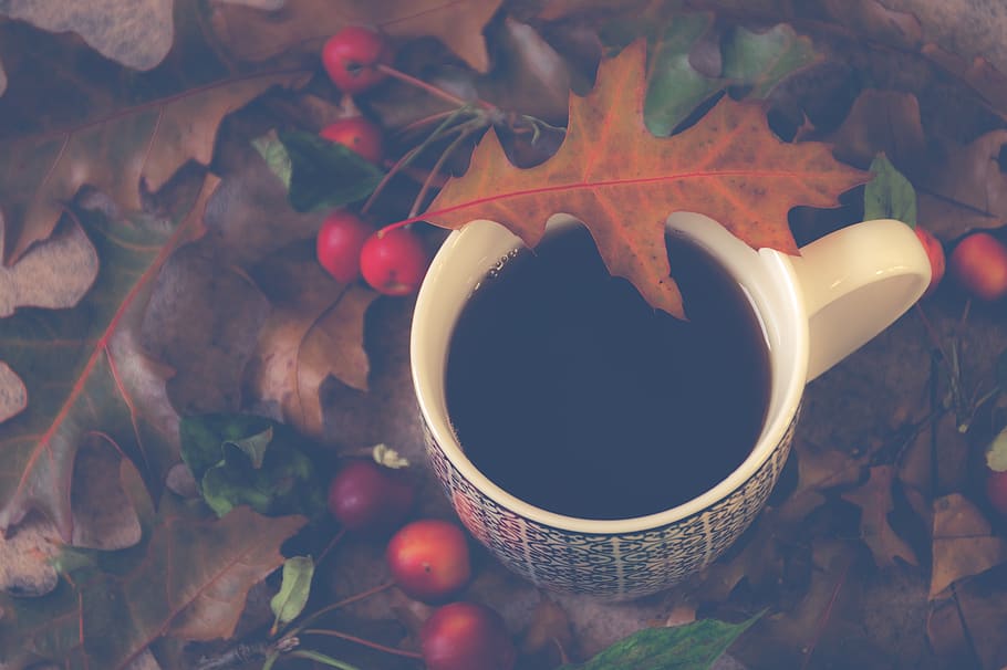 coffee, cup, black, outdoors, leaves, autumn, fall, cherries, fruit, food