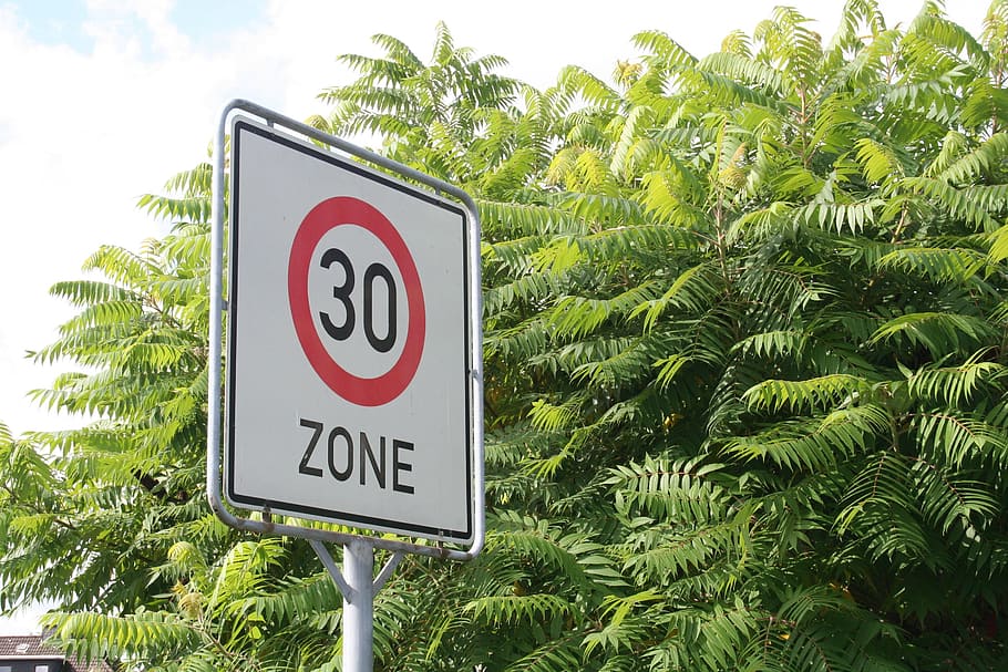 limitación de velocidad, 30 zonas, marca, 30 s, carretera, letrero, comunicación, planta, palmera, clima tropical