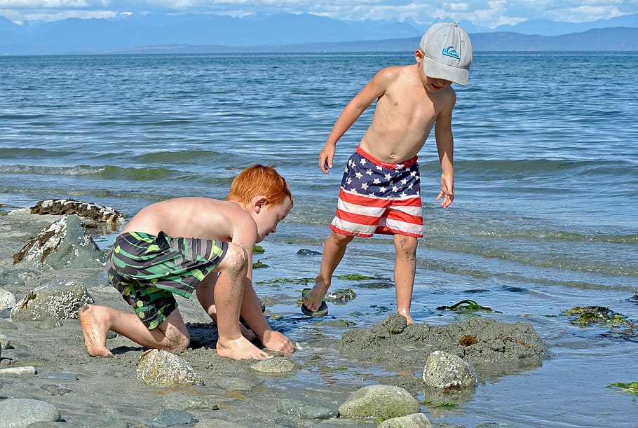 two, boys, seashore, kids, beach, child, children, play, sand, leisure