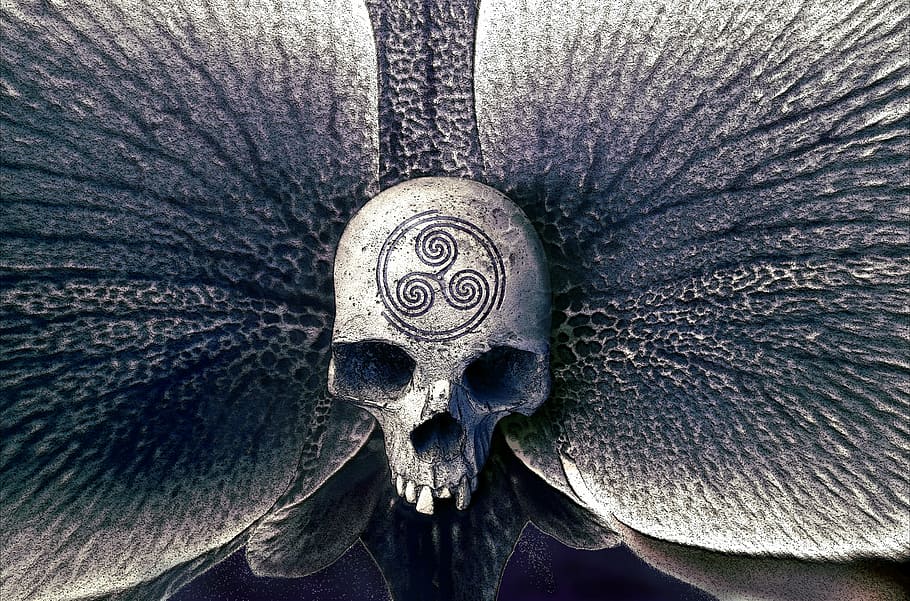 gray skull emblem, skull, orchid, symbol, mystical, fantasy, mysterious, head, cult, skull and crossbones
