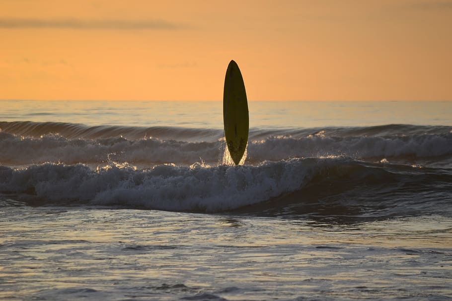 surf, puesta de sol, tabla de surf, serenidad, mar, playa, ola, deporte, agua, cielo