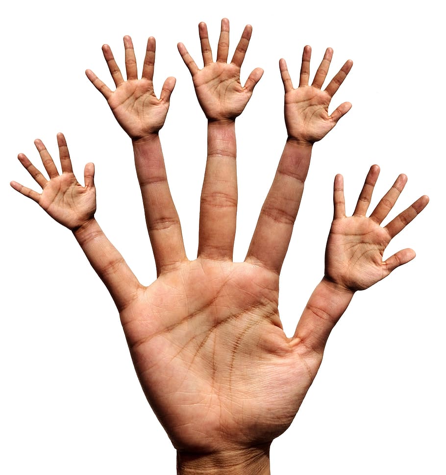 Foto, persona, palma derecha, mano, manos, dedo, pulgar, dedo índice, dedo medio, dedo anular