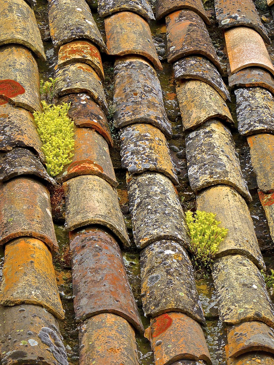 tiles, roof, cover, tiled, rooftop, ceramic, brown, waterproof, full frame, roof tile