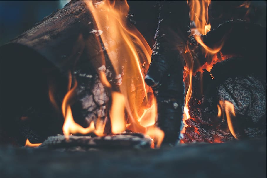 fogueira, perto, fotografia, fogo, chamas, madeira, toras, chama, fenômeno natural, queima
