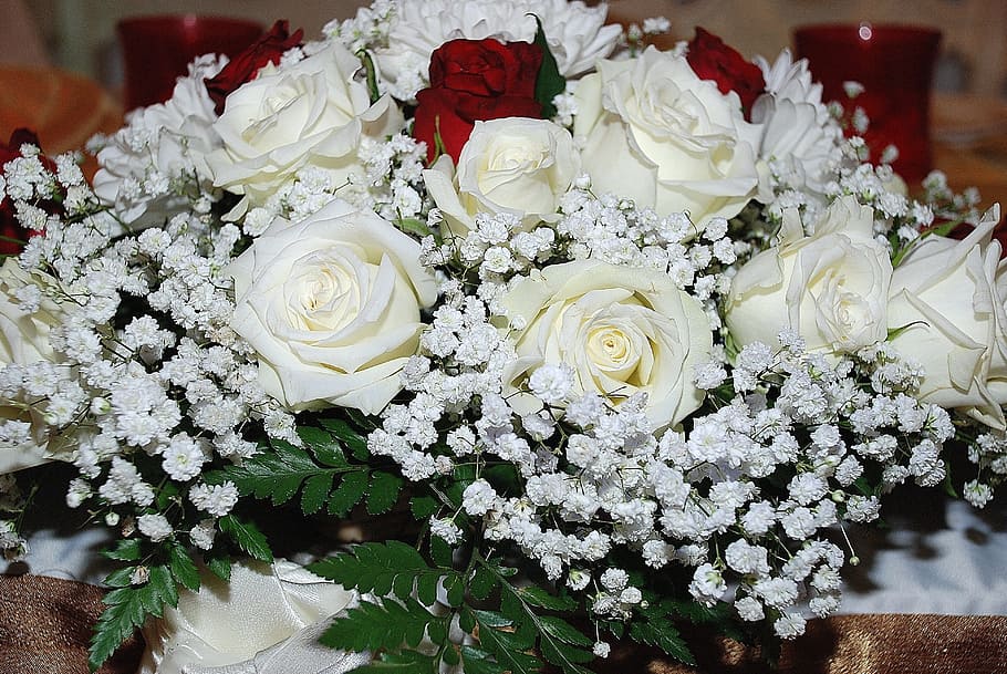 baby, breath, rose, flowers bouquet, roses, flower, bouquet, white, floral, flowering plant