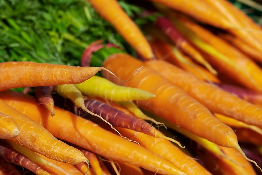 lote de zanahorias, zanahorias coloridas, zanahorias, vitaminas, nutrición, verduras, alimentos, plantas, comida y bebida, vegetales