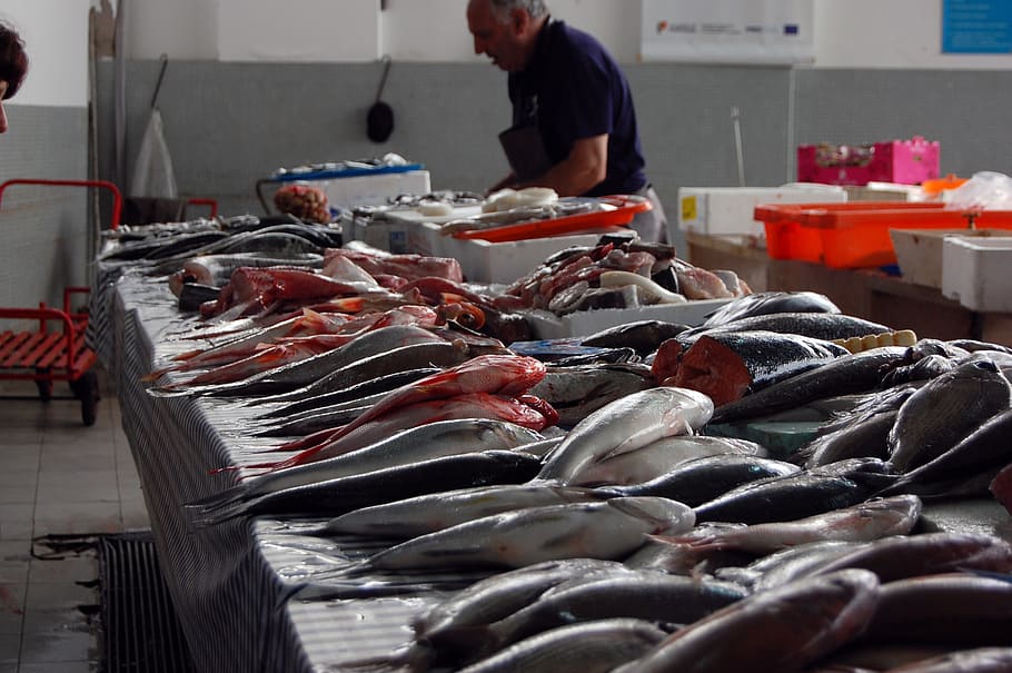 Royalty-free fish market photos free download | Pxfuel