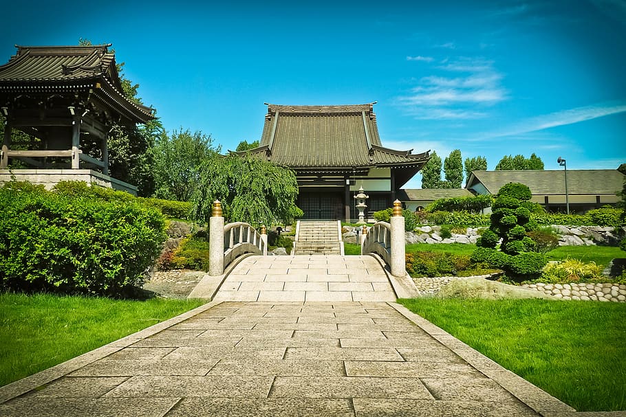 architectural, temple, architecture, asia, building, shrine, temple complex, japanese, temple hall, japan