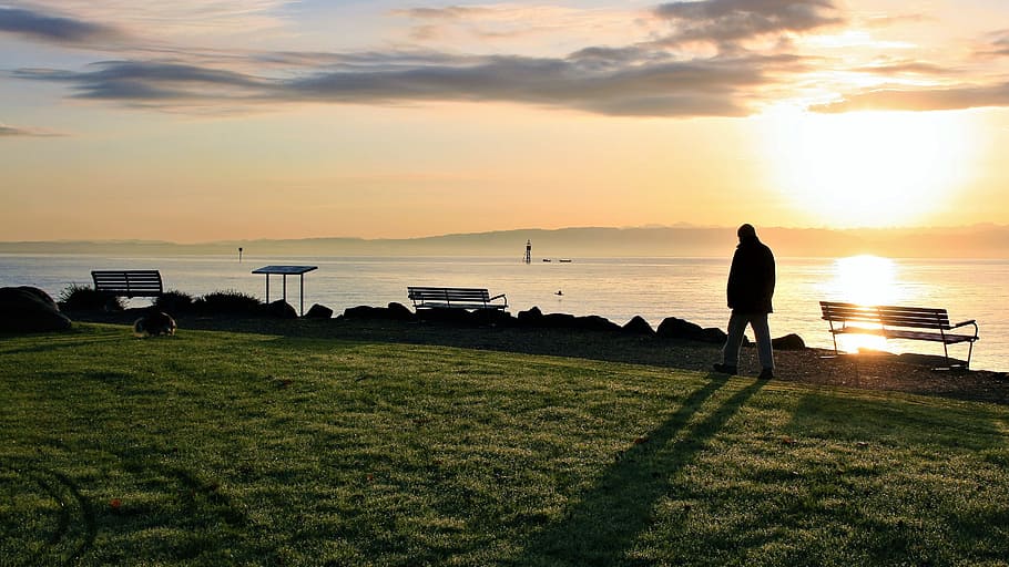 silhouette photo, man, walking, grass field, bench, sunrise, autumn,  spacer, lake, dawn | Pxfuel