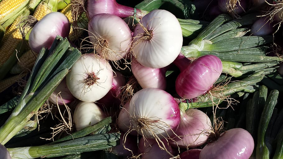 red shallots, shallots, noble onion, onion, sharp, vegetables, vitamins, healthy, food, eat