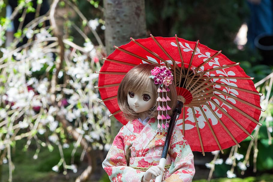 flor, natureza, árvore, quimono, guarda-chuva, tradicional, jardim, gueixa, japão, boneca
