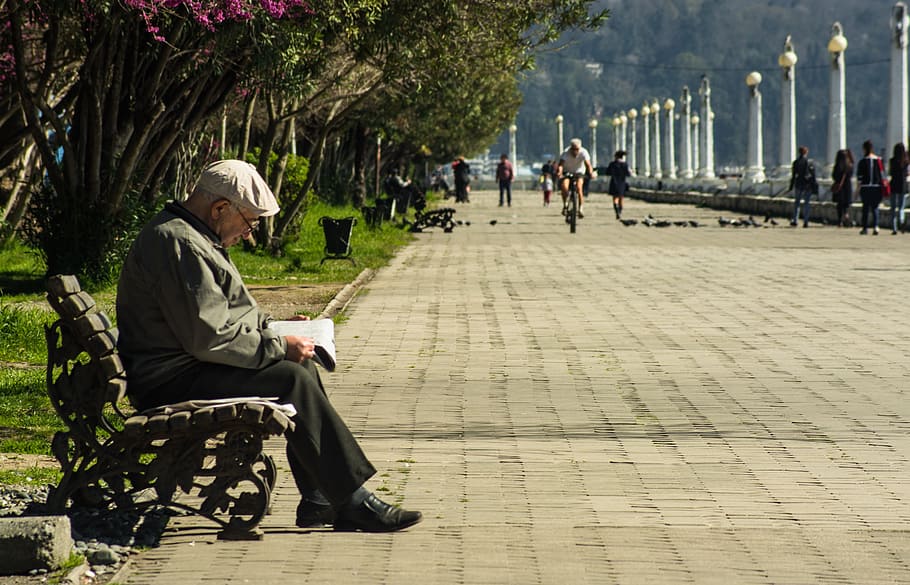 男, 座って, ベンチ, 経路, 老人, 本, ベンチで本を読んでいる人, 散歩, 座っている, 実在の人々