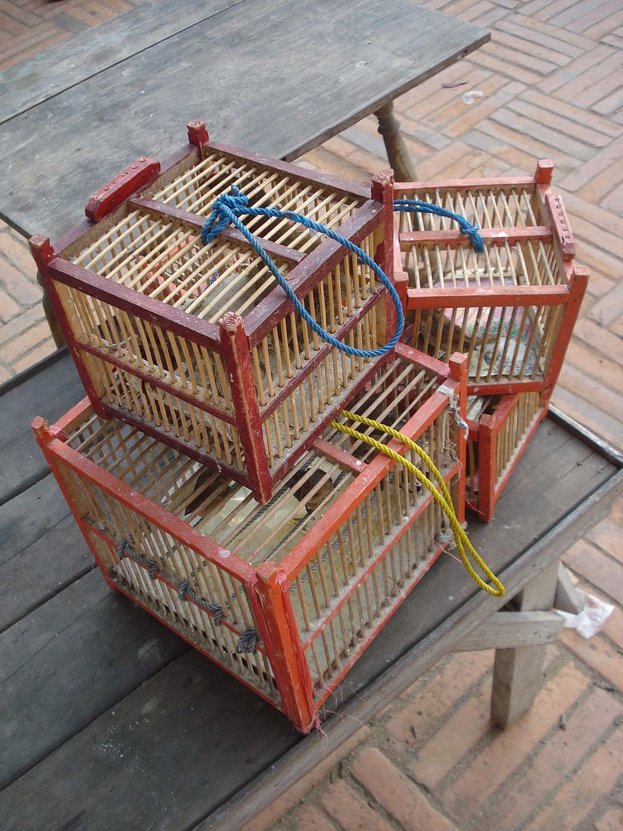 Cages, Bird, Cage, Market, Prison, birds, dom, wood, mahogany, asia