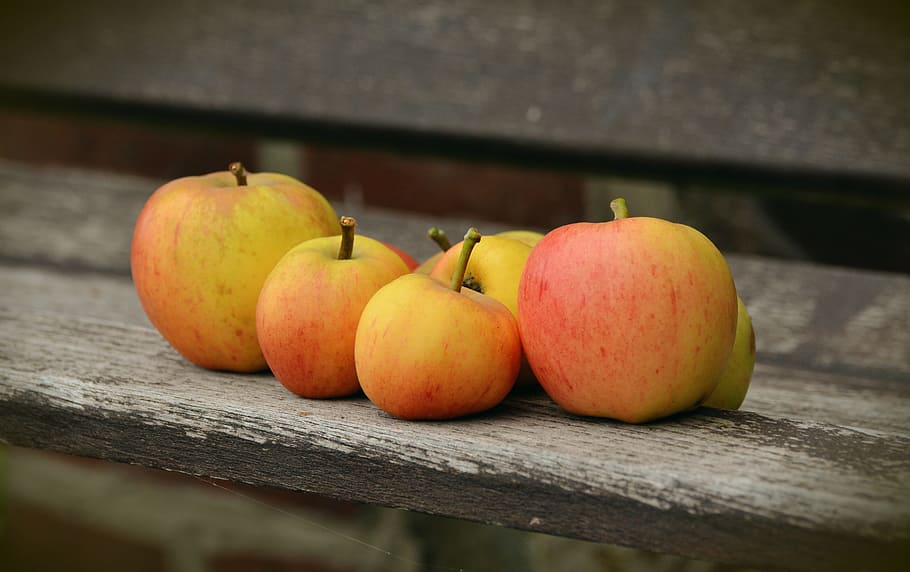 red-and-yellow, apples, gray, wooden, surface, apple, goldparmäne, fruit, windfall, garden