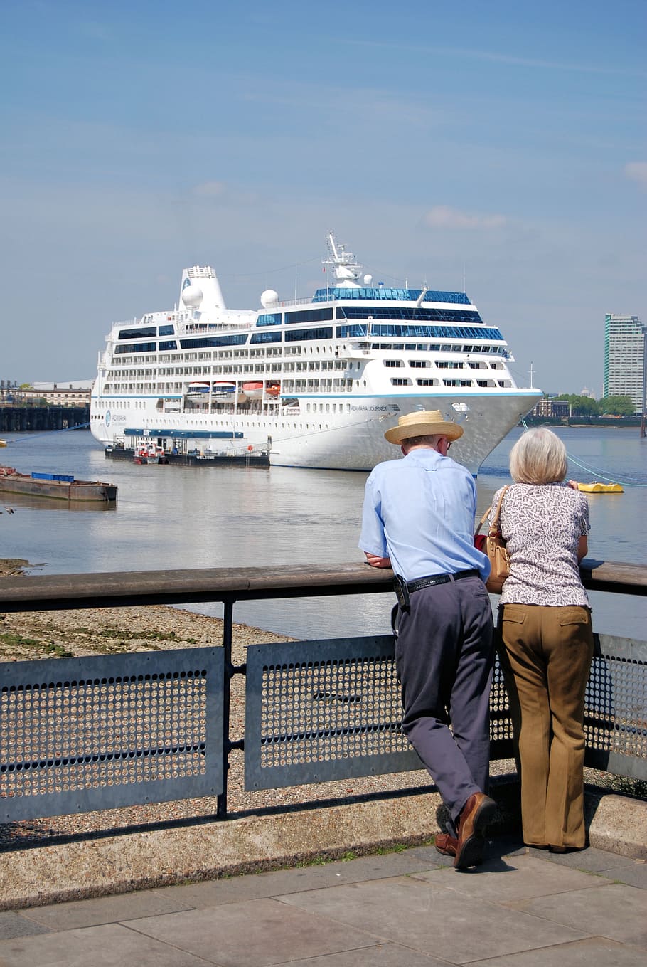 cruise, liner, tourism, ocean, going, shipping, travel, rear view, water, women