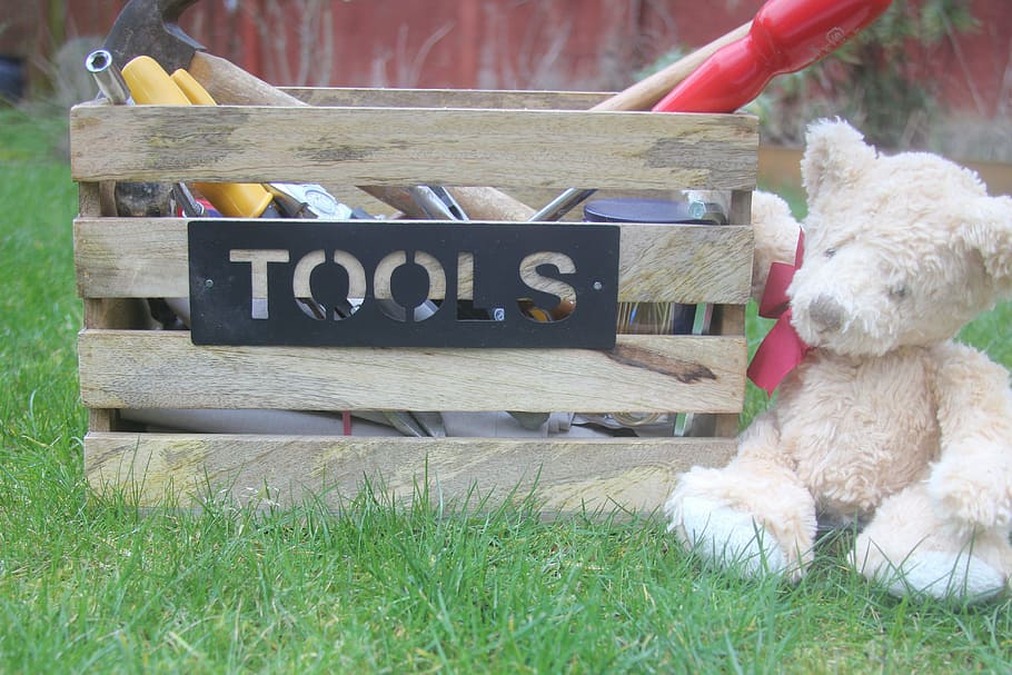 teddy, bear, toolbox, grass, tool box, tools, repair, fix, maintenance, teddy Bear