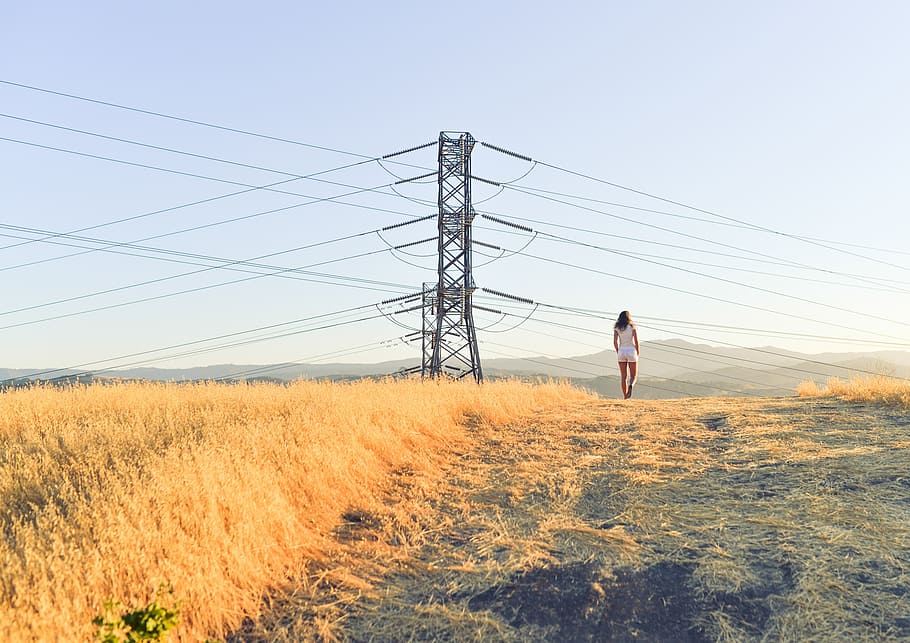 person, standing, grass field, electricity post, power, utility, pole, electricity, line, voltage