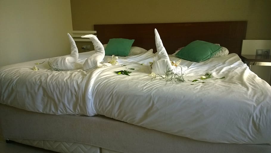 cama doble, cama, decorado, vacaciones, hotel, sábana, almohada, toalla, cisne, flor