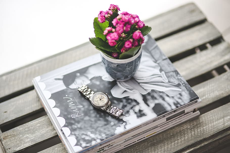 round silver-colored analog, watch, link band, gray, potted, purple, petaled flower, silver, newspaper, magazine