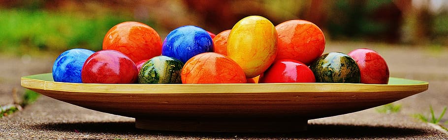 cores sortidas, decorativo, ovos, bandeja, páscoa, ovos de páscoa, coloridos, feliz páscoa, ovo, cor