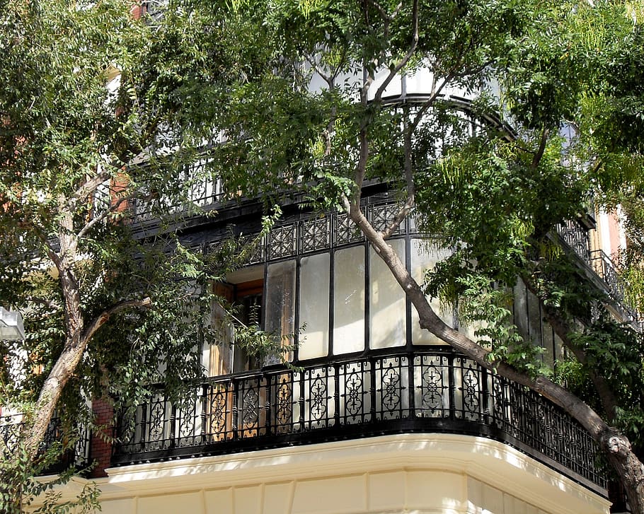 balcony, apartment, spain, madrid, tree, architecture, plant, built structure, day, nature
