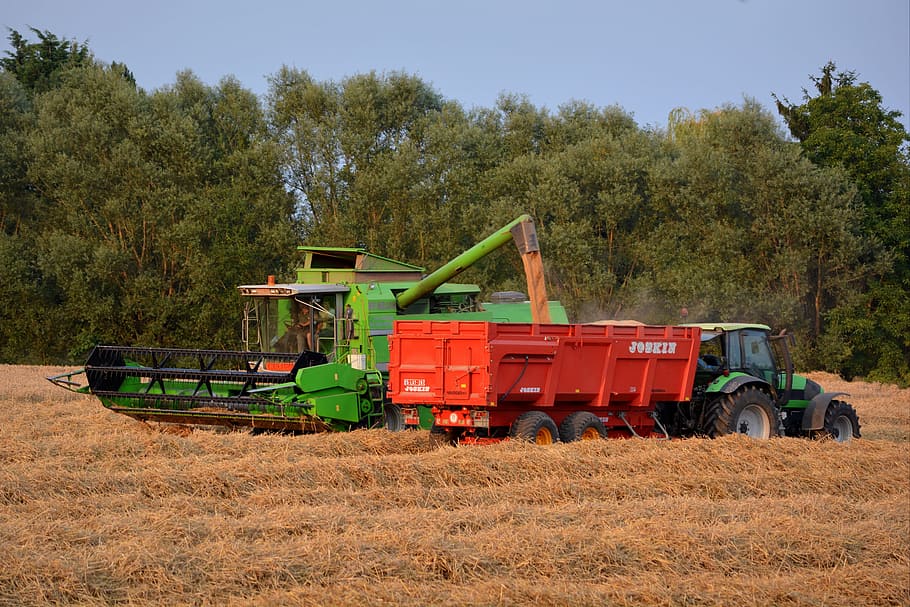 green, rice harvester, pouring, trailer truck, Straw, Harvest, Grain, pikdorser, agriculture, agricultural vehicles