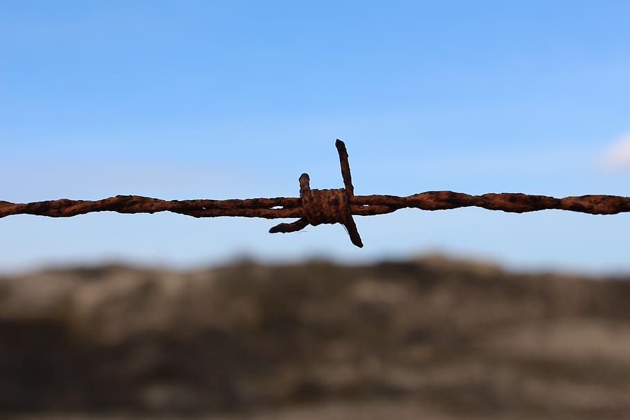 barbed wire, wire, sky, safety, security, metal, fence, protection, close-up, boundary