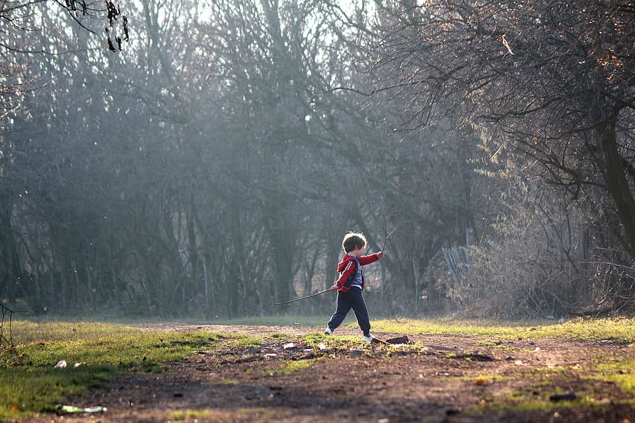 boy, walking, towards, trees, daytime, child, play, children playing, nature, outdoors