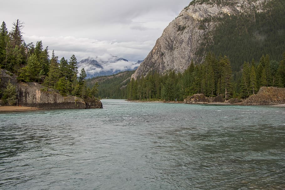 Bow River, Canadian Rockies, topi salju, gletser, sungai, taman, kanada, nasional, lanskap, banff