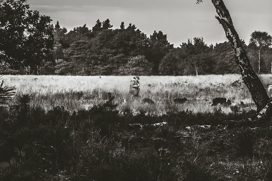 grayscale photography, person, inside, fields, couple, grass, field, people, man, dog