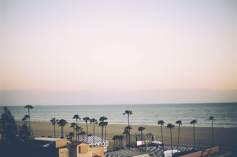 buildings, surrounded, tall, trees, sea, santa monica, beach, sand, palm trees, water
