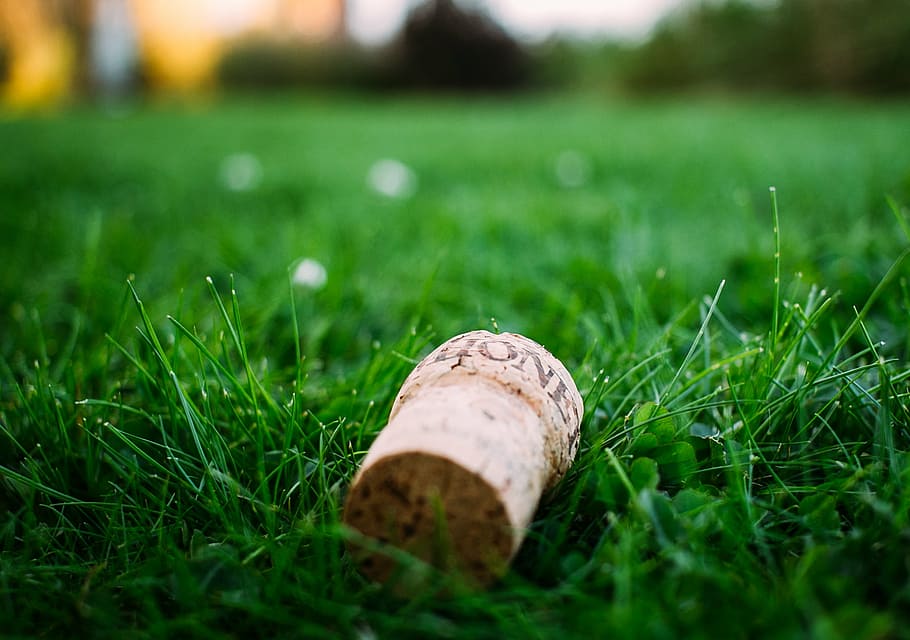 brown, bottle cork, grass, wooden, wine, stopper, green, lawn, field, corks