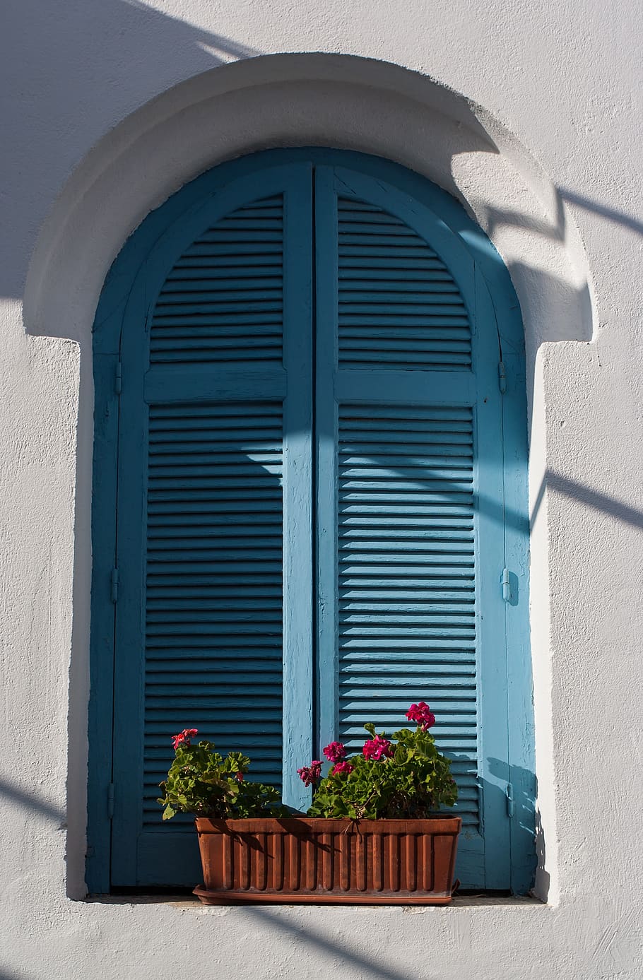 windows, house, old, light, color, tree, flower, pot, greenery, white